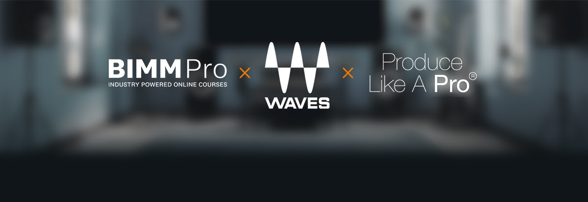 waves logo